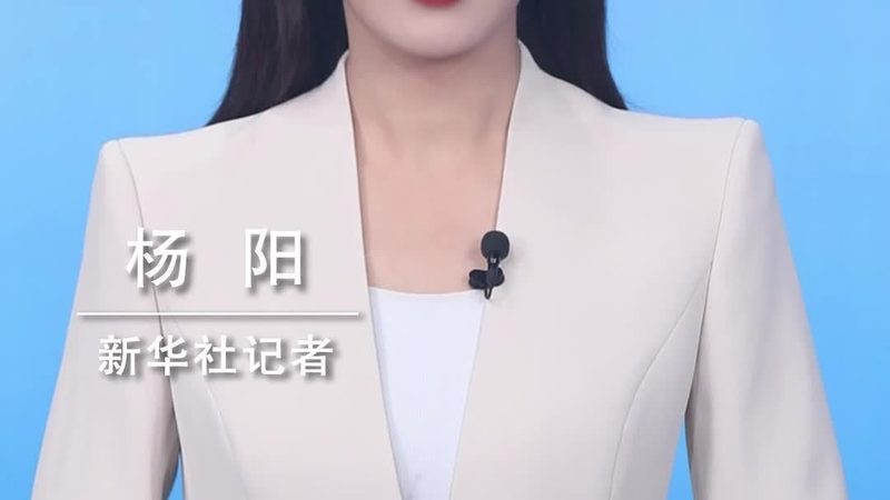APP研发外包报价单模板：揭秘定制化服务的核心要素